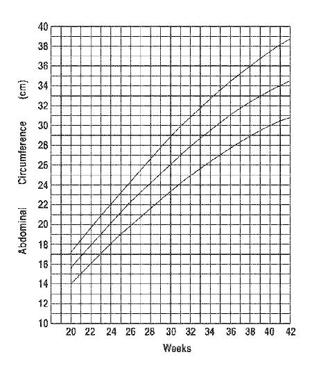 Abdominal Circumference